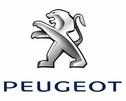 centreerringen peugeot