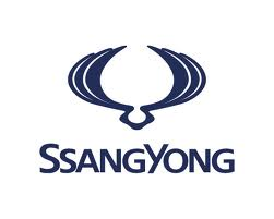 centreerringen ssang yong