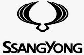 Ssangyong tpms ventielen